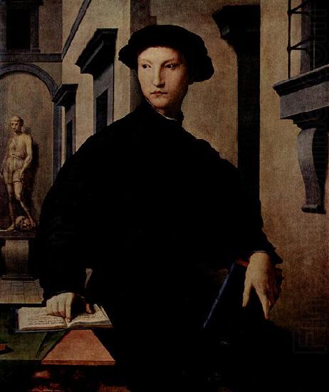 Agnolo Bronzino Portrat des Ugolino Martelli china oil painting image